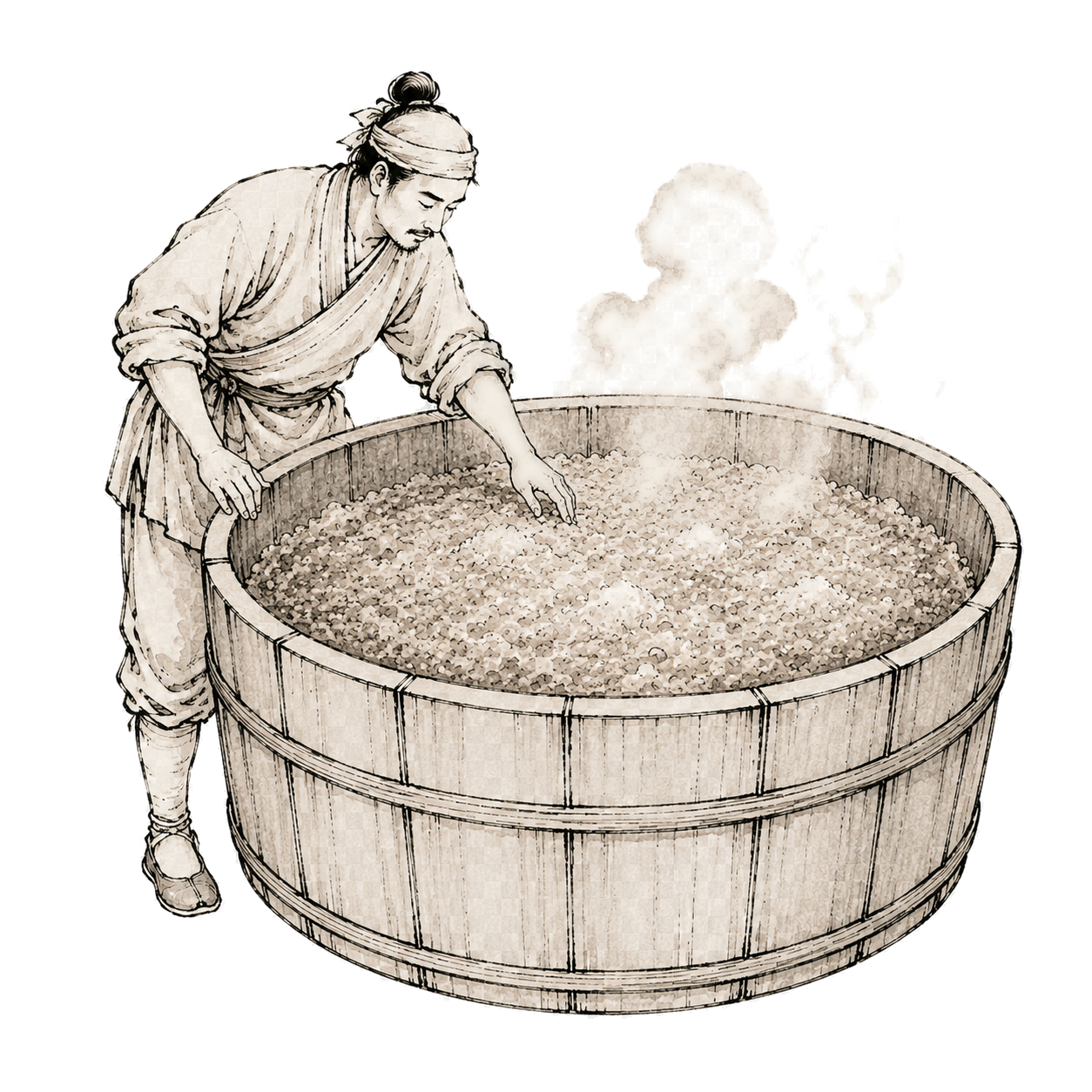 发酵
